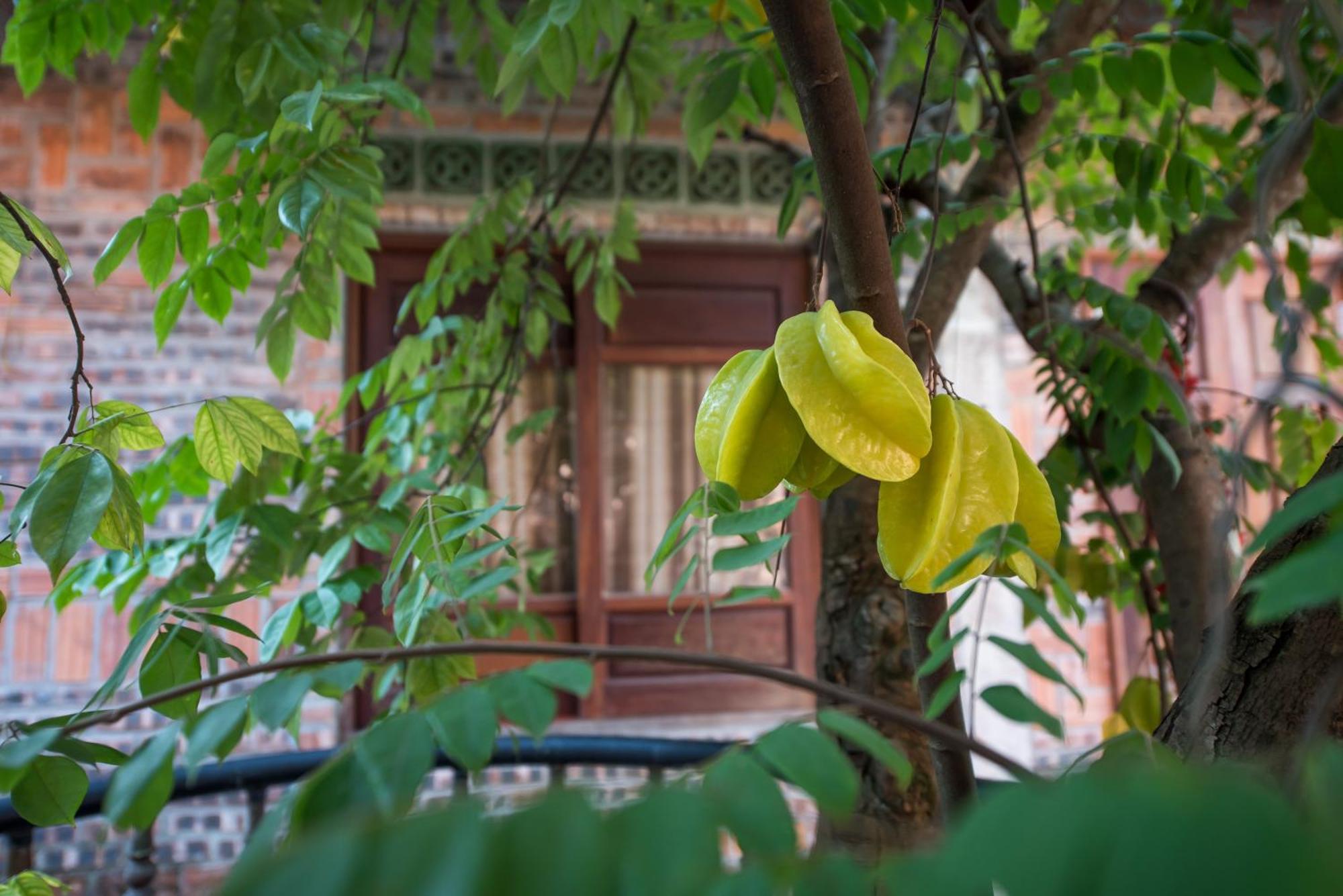 Littletamcoc Boutique Villa Ninh Binh Exterior photo